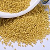 MIYUKI Delica Beads SEED-MY11-DB2102-1