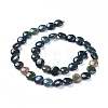 Natural Bloodstone Beads Strands G-G805-D03-1