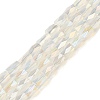 Electroplate Glass Beads Strands GLAA-P068-AB06-1