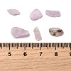 Natural Kunzite Beads X-G-Z099-A01-3