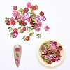 Paper Cabochons MRMJ-R064-02A-1