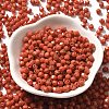 Baking Paint Glass Seed Beads SEED-A032-02A-03-2