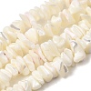 Natural White Mother of Pearl Shell Chip Bead Strands X-G-M205-63-2