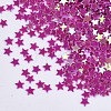 Ornament Accessories PVC-T021-12D-2