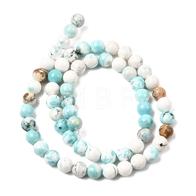 Natural Howlite Beads Strands G-L555-02-6mm-1