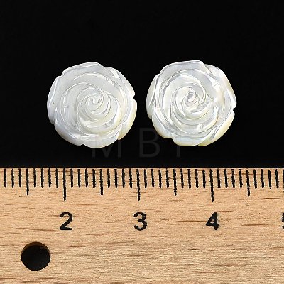 Natural White Shell Carved Cabochons SSHEL-M022-07-1