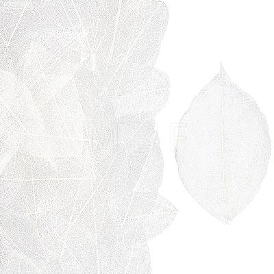 100Pcs Dried Flower Leaf Craft Supplies AJEW-CP0009-41B-1