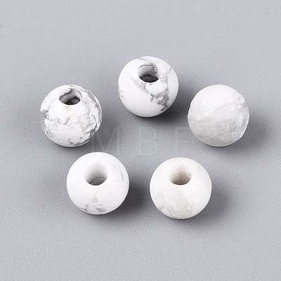 Natural Howlite Beads G-Q602-08A-07-1