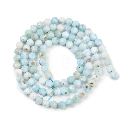 Natural Larimar Beads Strands G-B175-D08-4mm-1