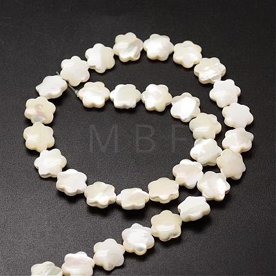 Natural Trochid Shell/Trochus Shell Beads Strands SSHEL-K010-03-1