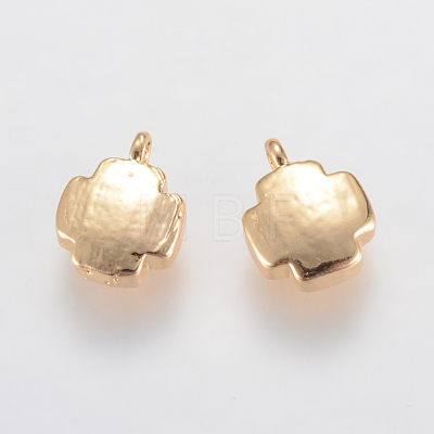 Brass Pendants KK-T014-18G-1