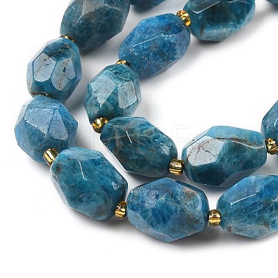 Natural Apatite Beads Strands G-P541-A01-06-1