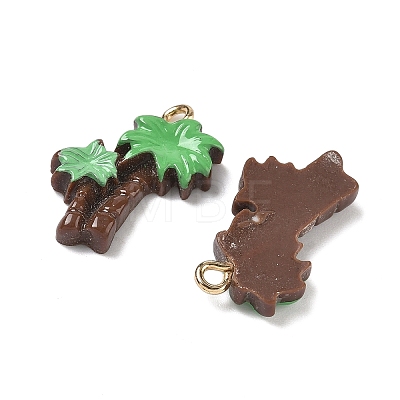 Opaque Resin Pendants LS-RESI-G120-01E-1