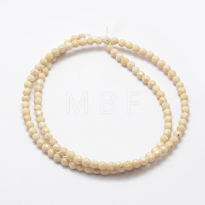 Natural Fossil Beads Strands X-G-K209-05D-4mm-1