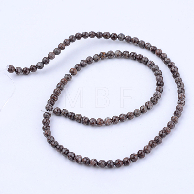 Natural Snowflake Obsidian Beads Strands G-Q462-10mm-37-1