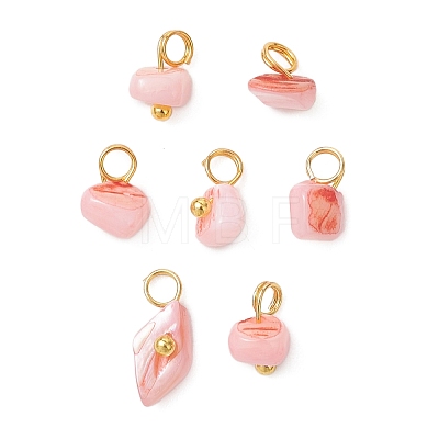 Dyed Natural Freshwater Shell Nuggets Charms PALLOY-JF05032-02-1