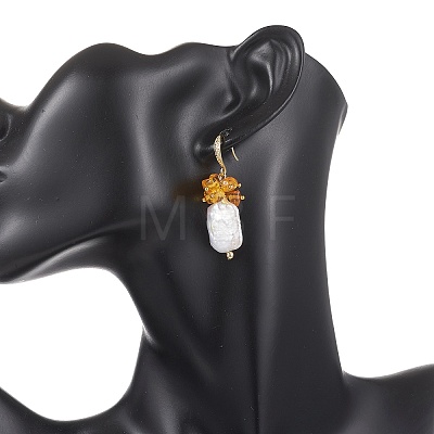 Natural Amber Dangle Earrings EJEW-JE07055-1