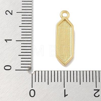 Rack Plating Brass Pendants KK-L224-044G-1