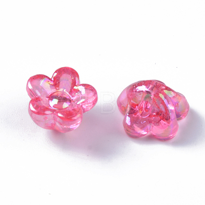 Transparent Acrylic Beads TACR-Q270-009-1