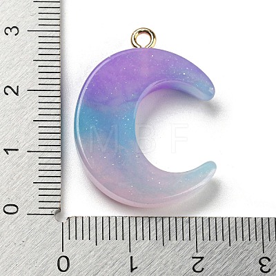 Gradient Color Resin Pendants FIND-Z010-01B-1