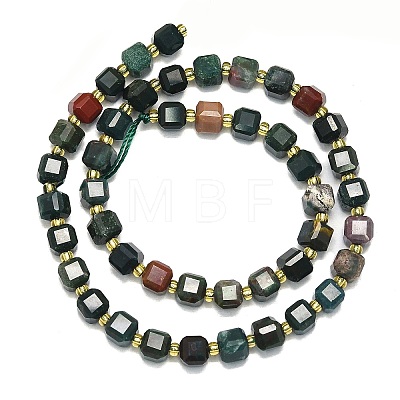 Natural Bloodstone Beads Strand G-I376-D74-01-1