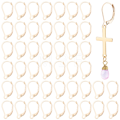 50Pcs 304 Stainless Steel Leverback Earring Findings STAS-BBC0011-11-1