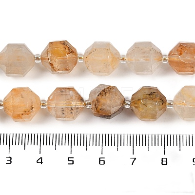 Natural Dendritic Quartz Beads Strands G-O201B-150H-1