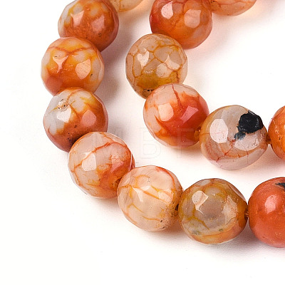 Dyed & Heated Natural Fire Crackle Agate Beads Strands G-N359-01A-06-1