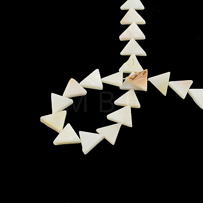 Triangle Natural Sea Shell Beads Strands X-SSHEL-F290-11-1