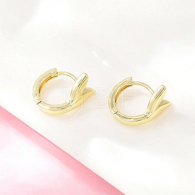 Brass Hoop Earrings EJEW-D348-27G-1