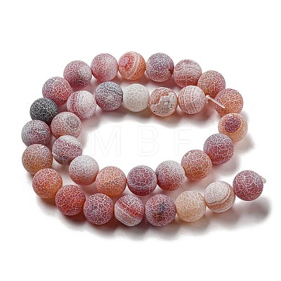 Natural Weathered Agate Beads Strands G-P538-A01-13-1