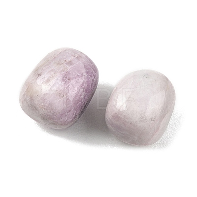 Natural Kunzite Beads G-G348-01B-15-1