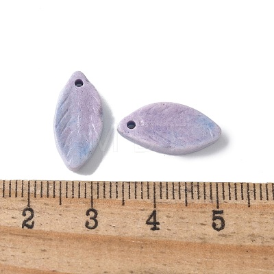 Natural Rainbow Alashan Agate Pendants G-G194-03A-1