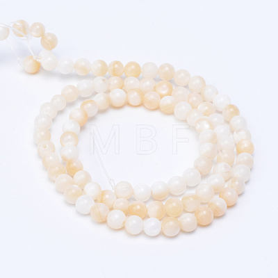 Natural Freshwater Shell Bead Strands X-SHEL-S253-01-1