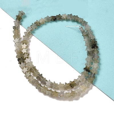 Natural Labradorite Beads Strands G-G085-B25-02-1