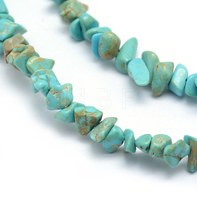Natural Magnesite Beads Strands G-P332-59A-1