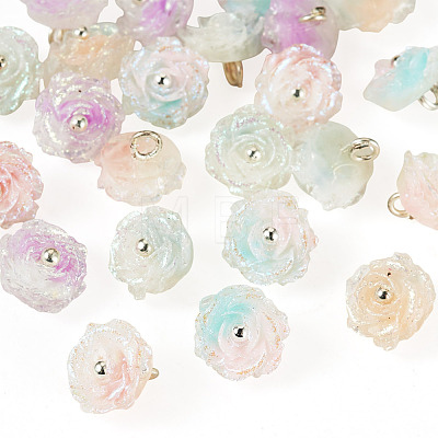 30Pcs 5 Colors Two-tone Resin Charms RESI-TA0005-71-1