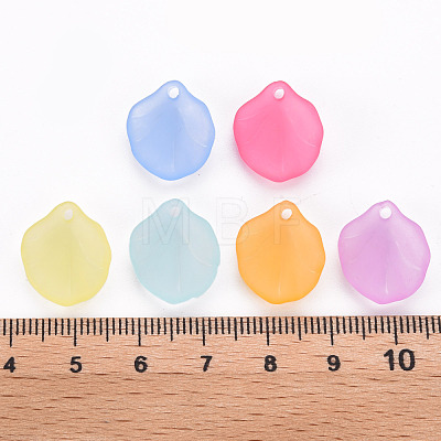 Transparent Frosted Acrylic Pendants MACR-S371-02A-1