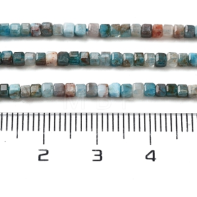 Natural Blue Apatite Beads Strands X-G-P457-B01-14B-1