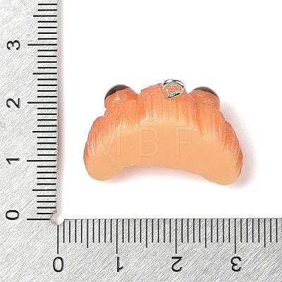 Resin Imitation Food Pendants FIND-U001-02A-1