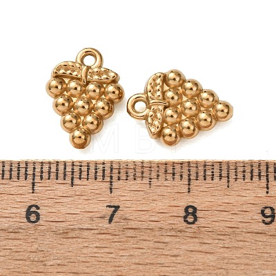 304 Stainless Steel Charms STAS-Z176-01G-05-1