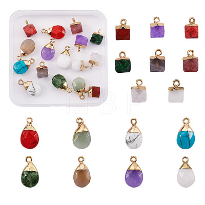 Kissitty 16Pcs 16 Style Natural & Synthetic Gemstone Pendants G-KS0001-06-1