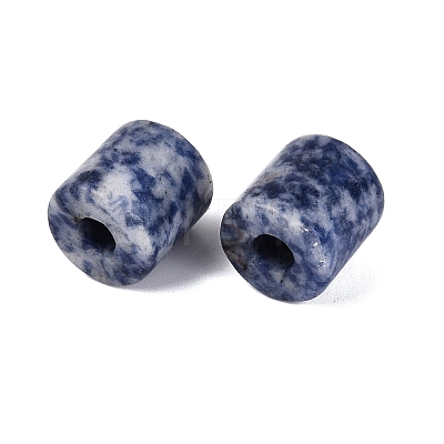 Natural Blue Spot Jasper European Beads G-P520-05J-1