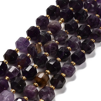 Natural Amethyst Beads Strands G-P568-B01-01-1