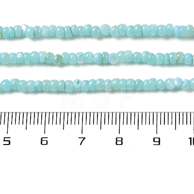 Natural Freshwater Shell Beads Strands SHEL-P017-01B-03-1