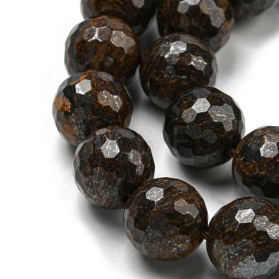 Natural Bronzite Beads Strands G-E571-42C-1
