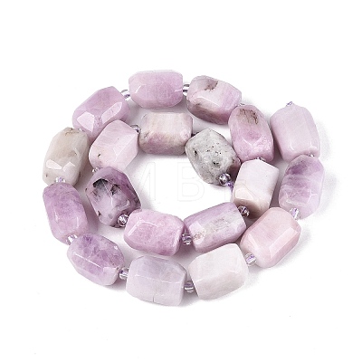 Natural Kunzite Beads Strands G-N362-07A-08-1