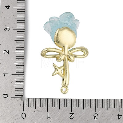 Golden Alloy Resin Pendants FIND-U017-07G-01-1