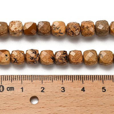 Natural Picture Jasper Beads Strands G-H078-C14-01-1