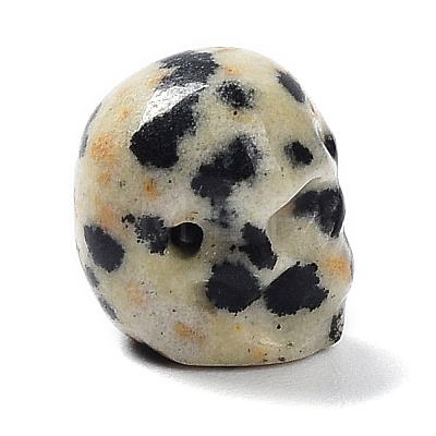 Natural Dalmatian Jasper Beads G-C038-01R-1